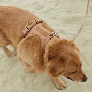 Comfortabel Harnas voor Uw Hond – Inclusief Riem en Poepzakjeshouder